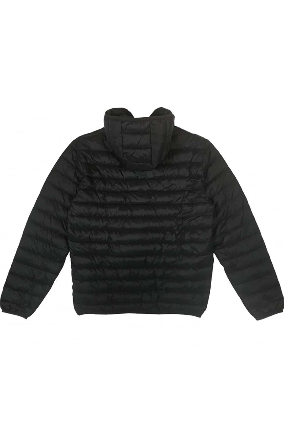 Campera Máximo Lenoxo