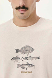 Camiseta Hering Masculina Con Estampa