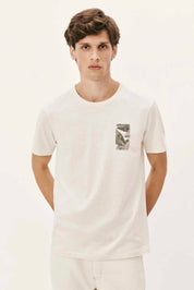 Camiseta Hering Masculina Con Estampa II