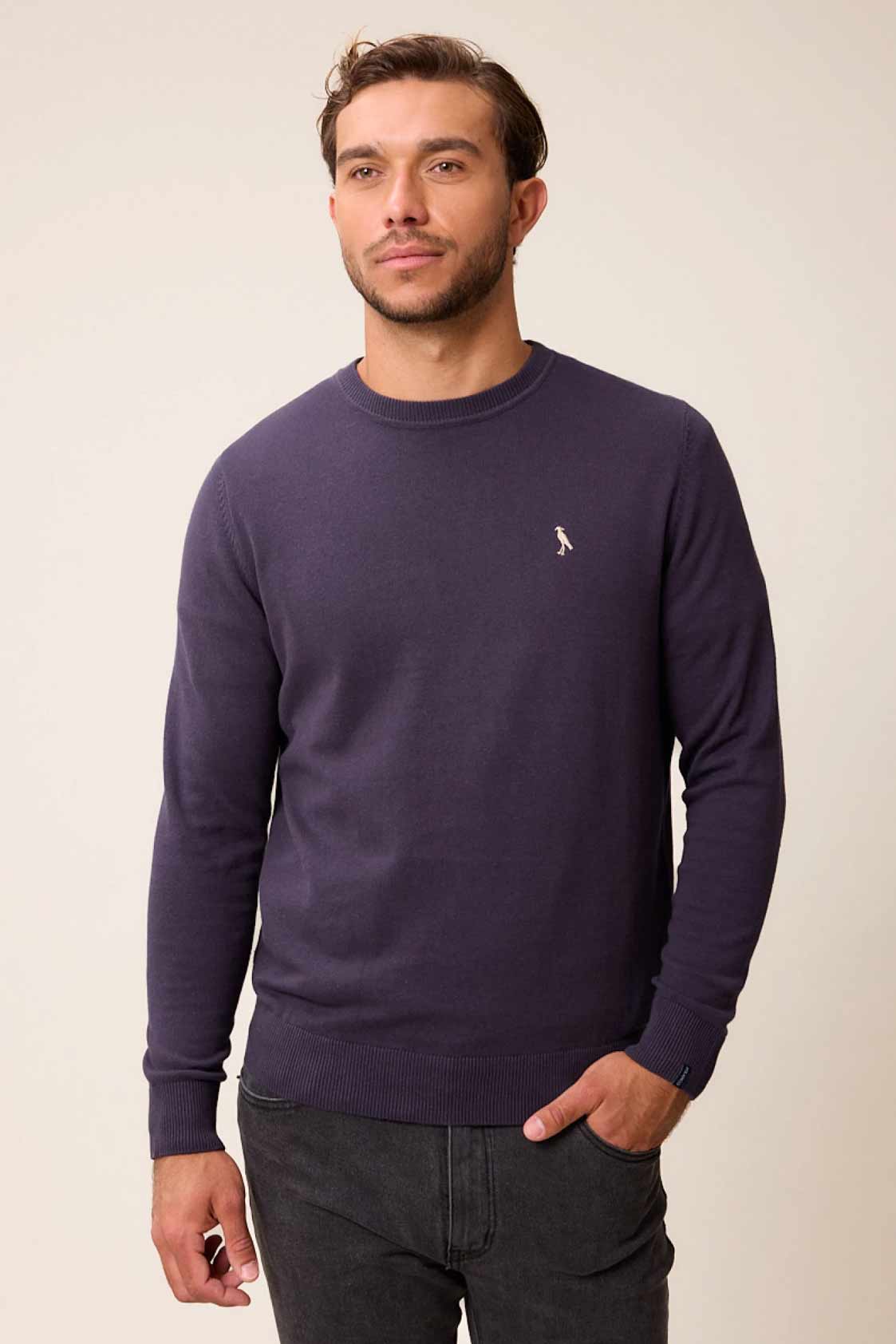 Sweater Faenzo W26 Polanco - Azul